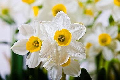 塔防建造《模型英雄工场》上架steam 年内发售预定